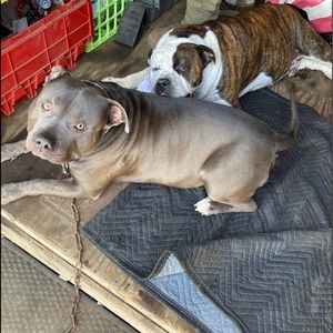 Meet your Posher, Loralei